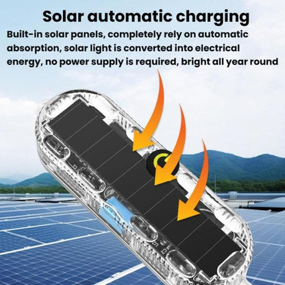 TBD06063176_B5.jpg@a8c13d7a66459e1a00179f3f5c93479c