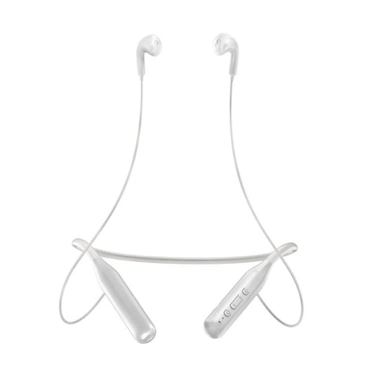 TBD0606319001B.jpg@6c7f15542695a1612434402f0fd8e9d1