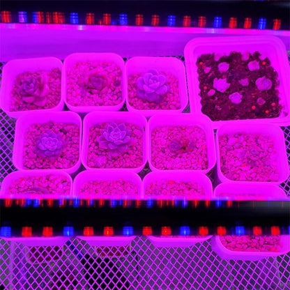 TBD06063446_B7.jpg@cf165cbbc06a030f4022270d3428fe51