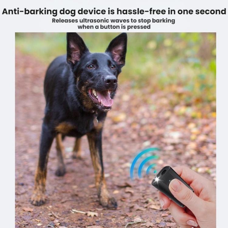 TBD06063456_B5.jpg@aff7974502fb6ee15b3b1f268a9f10b1