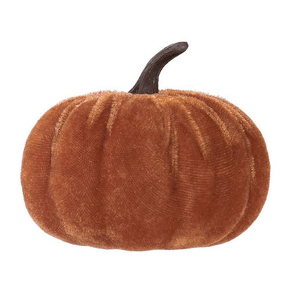 TBD0606367903C.jpg@97ddce7c92a5c5bb353a890a42a9677f