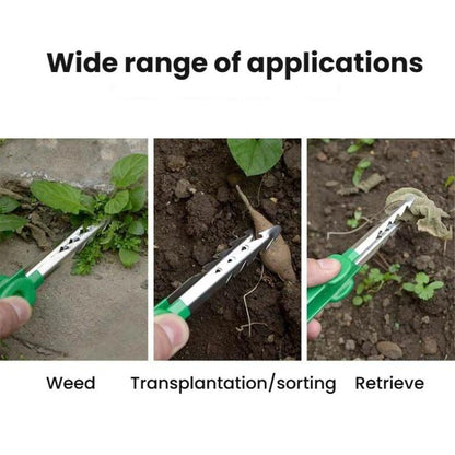 TBD06063754_B6.jpg@27bedcea9c80b97b33d553da196252b7