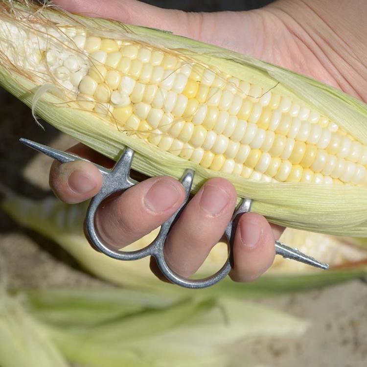 TBD06063759_4.jpg@525195381acb6645df1b8d177fe7075e