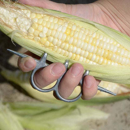 TBD06063759_4.jpg@525195381acb6645df1b8d177fe7075e