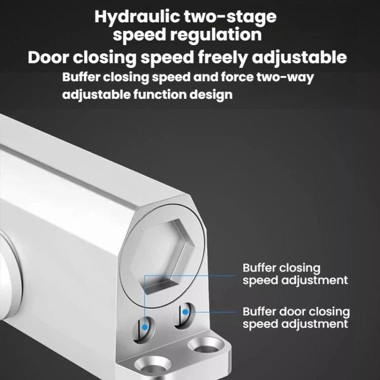 TBD06063910_B2.jpg@fd77784b13a95689b0bb4669fa07c5b3