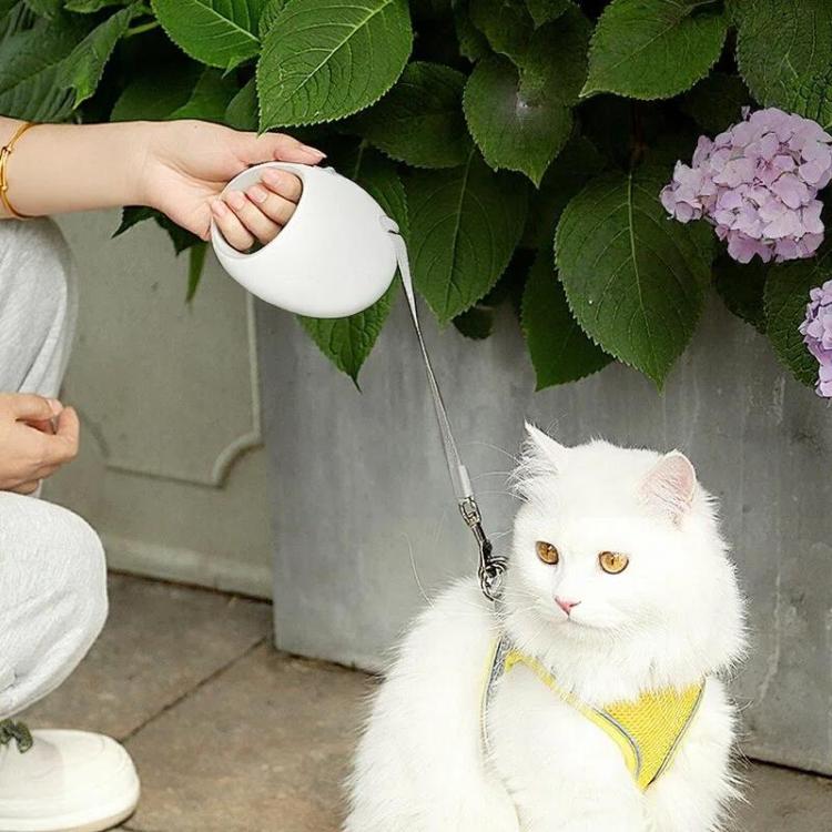 TBD06064040_B7.jpg@7db8df8fb3fc1f7b60aa383c7431e42c