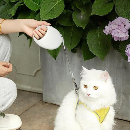 TBD06064040_B7.jpg@7db8df8fb3fc1f7b60aa383c7431e42c