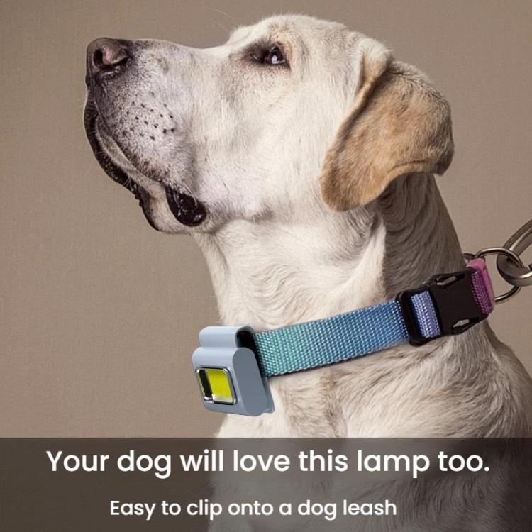 TBD06064078_B8.jpg@9016baf431f97d9d252aaa592c4c128a