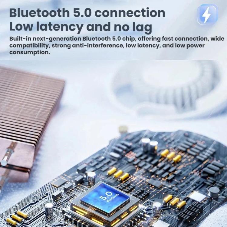 TBD06064910_B6.jpg@46598d75c3e3a7de5f1929075e458cfb