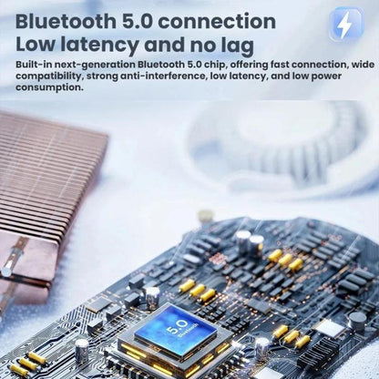 TBD06064910_B6.jpg@46598d75c3e3a7de5f1929075e458cfb