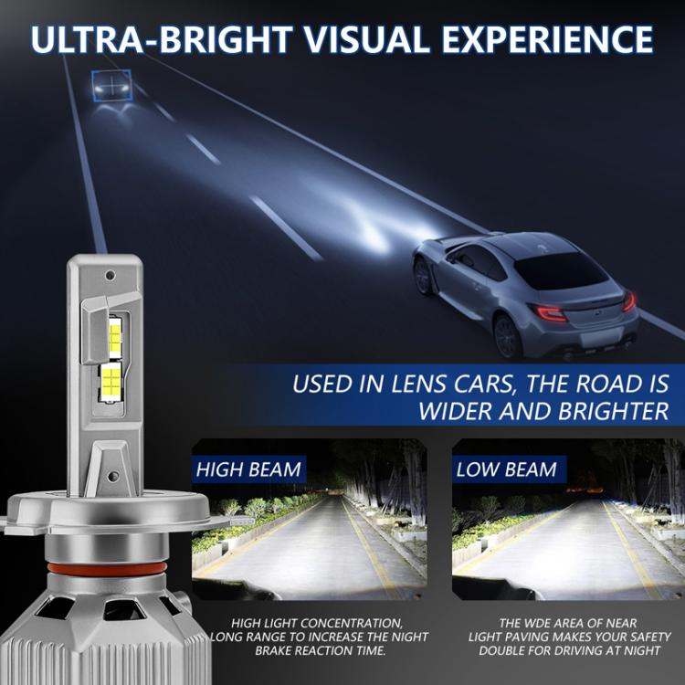 TBD06064995_B2.jpg@aa923ce2463eef9f7b182298bfe72693