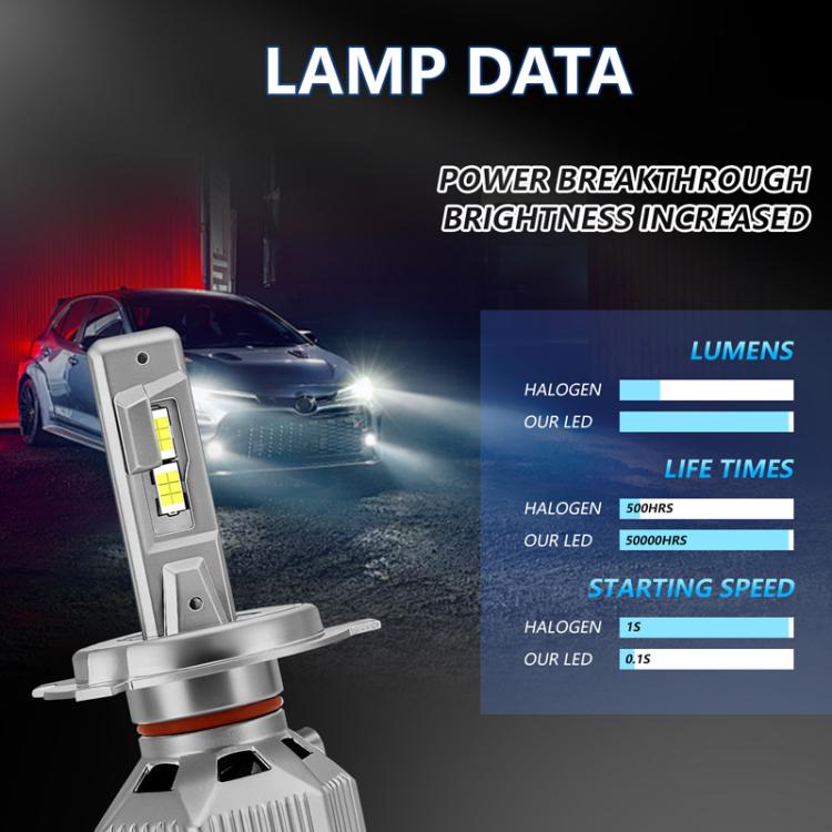 TBD06064995_B3.jpg@432bb4f00cc7c62d827b20cb10452c73