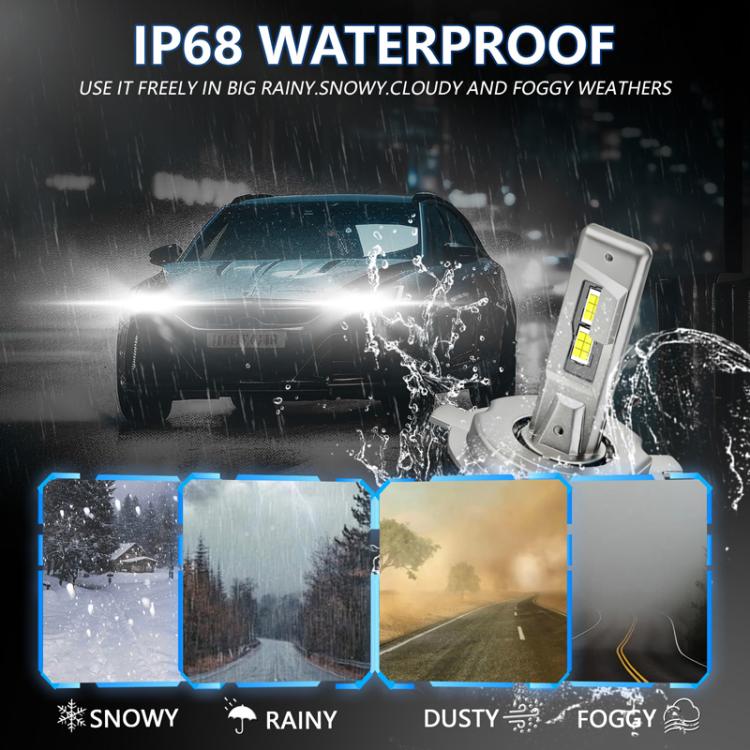 TBD06064995_B5.jpg@d99c3408c0ec2d87f996134974978b4f