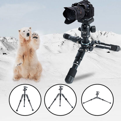 BEXIN Mate 10 Mobile Phone Camera Desktop Aluminum Alloy Tripod Mount Live Broadcast Selfie Stick Tripod by BEXIN