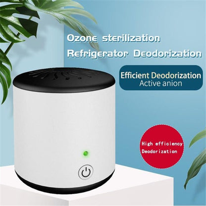 ZC-168 Refrigerator Car Active Oxygen Ozone Disinfection Sterilization Deodorization Purification Mini Air Purifier by bashfashion